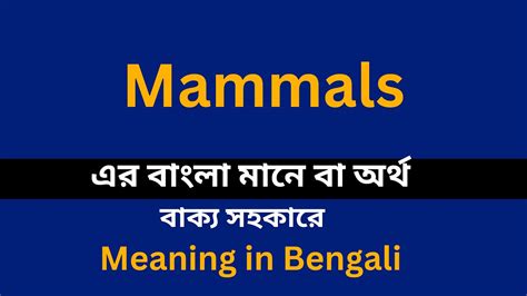 mammals meaning in bengali|mammalia in bangla.